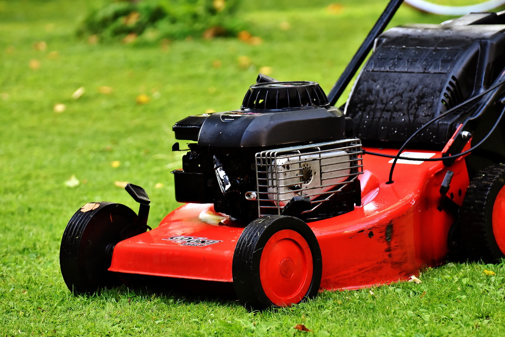 Wollongong lawn mowing